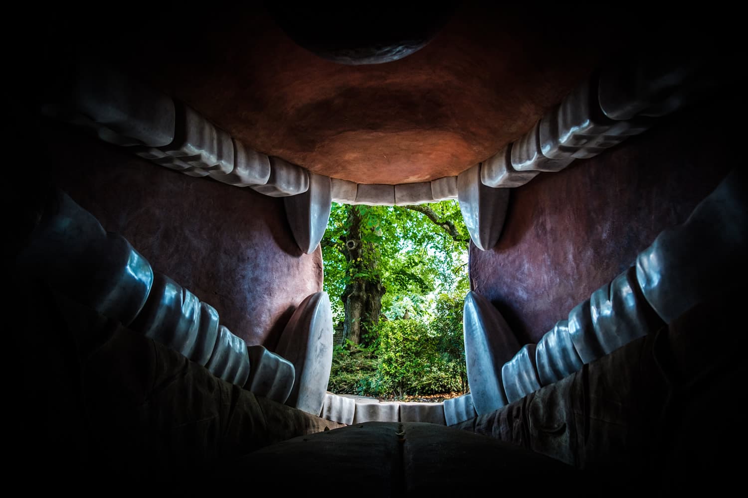 The Forbidden Corner Image 3