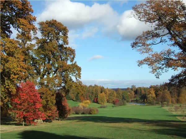Visit The Yorkshire Arboretum Image 5