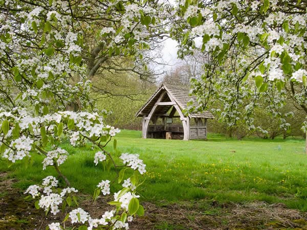 Visit The Yorkshire Arboretum Image 2