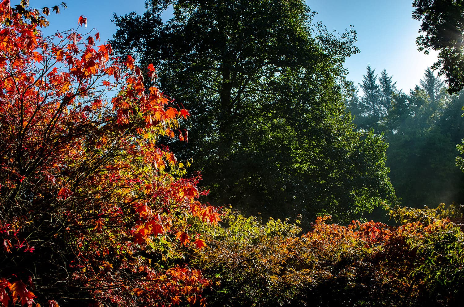 Visit The Yorkshire Arboretum Image 4