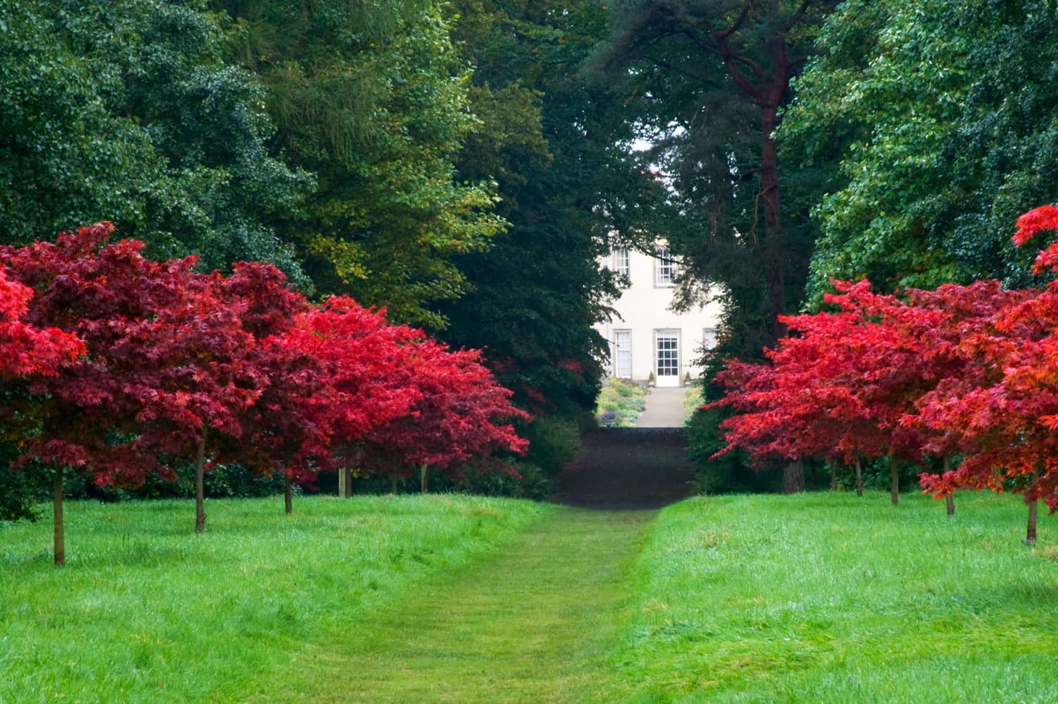 Thorp Perrow Arboretum Image 4