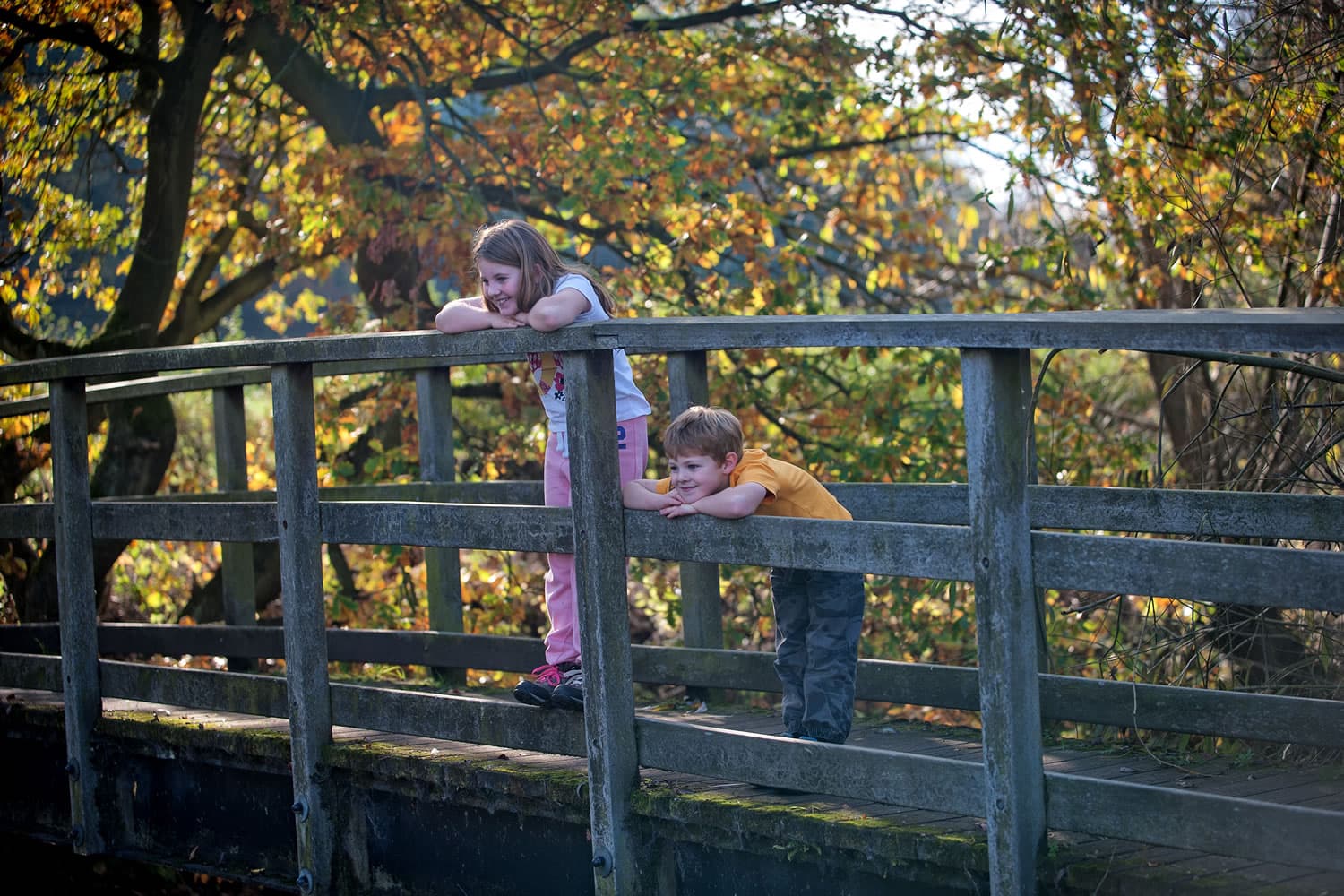 Worsbrough Mill Museum and Country Park Image 3
