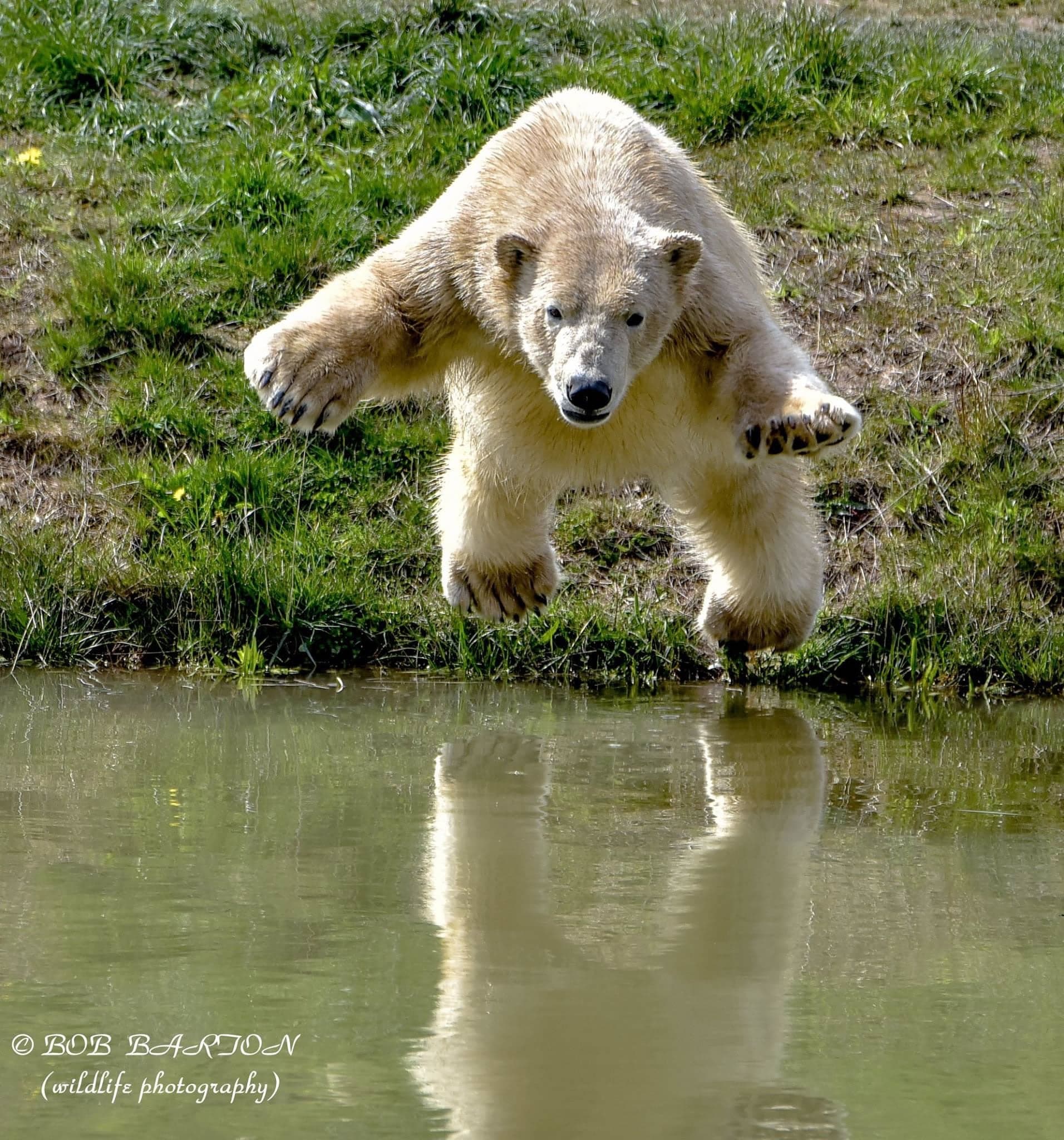 Visit Yorkshire Wildlife Park In Doncaster Image 9