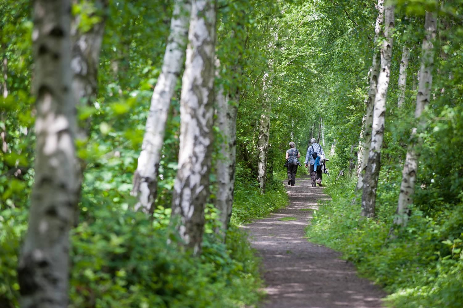 Yorkshire Wildlife Trust Image 3