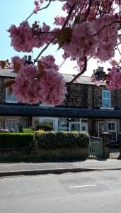 Harrogate 100 Image 1