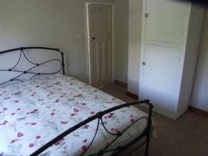 firtrees Image 1
