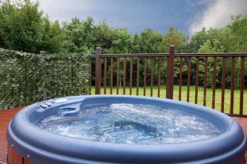 Heron Lodge with Hot Tub Image 3