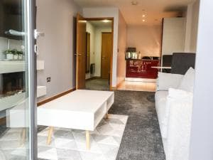 Apartment 207 Image 3