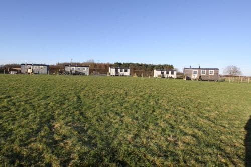 Springwood Shepherd Huts Glamping York Image 2