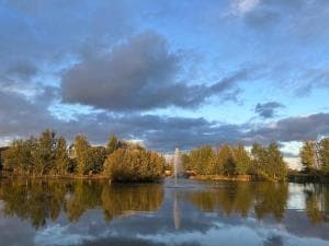 Luxury Shepherds Hut - The Sweet Pea by the lake Image 2