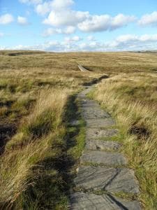 Woodbottom Farm - A Splendid Yorkshire Getaway Image 3