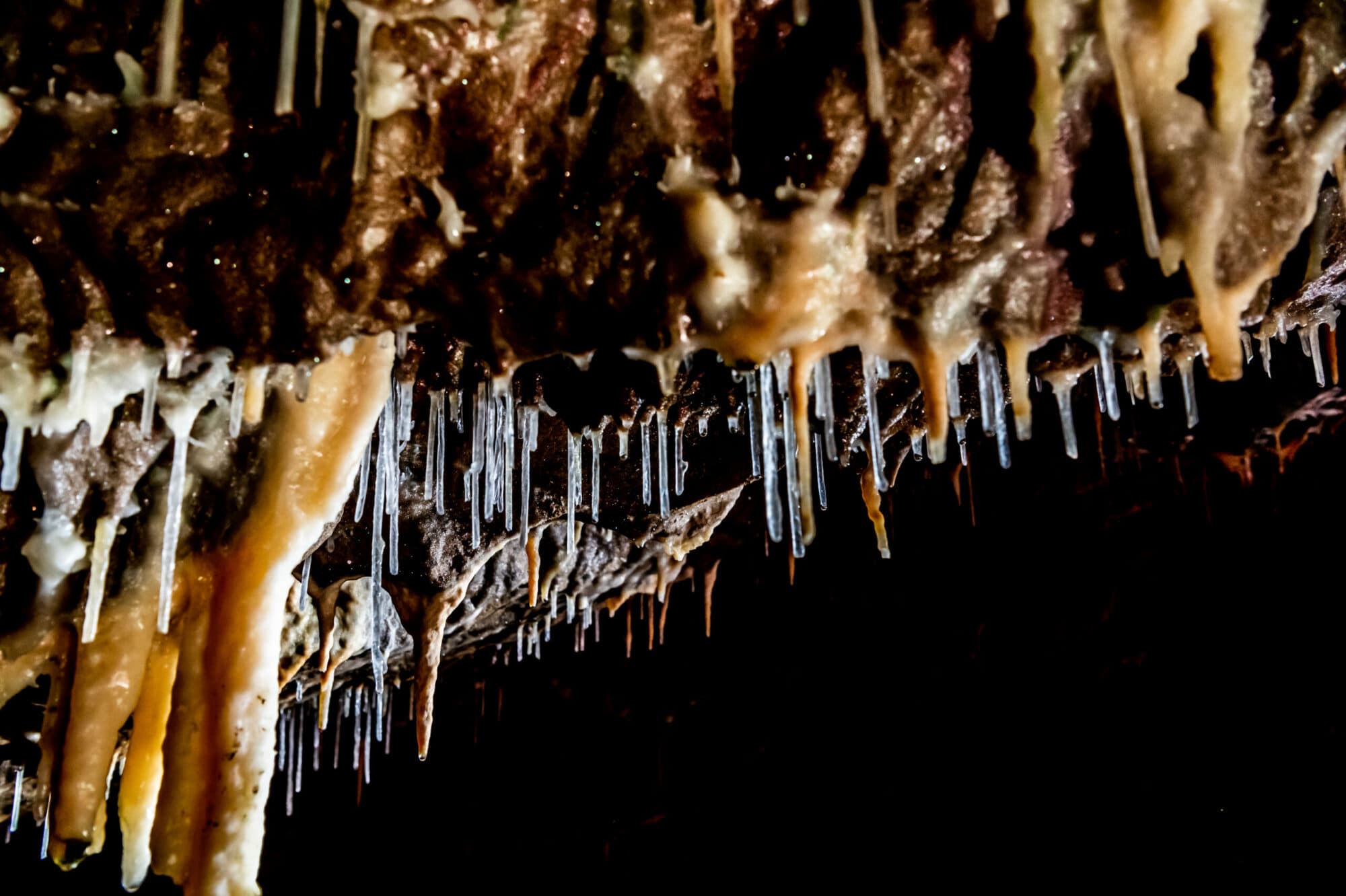 Stump Cross Caverns Image 7