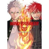 "WIND BREAKER 20 manga cover with two characters, one with red hair and one with silver hair, and flames between them."
