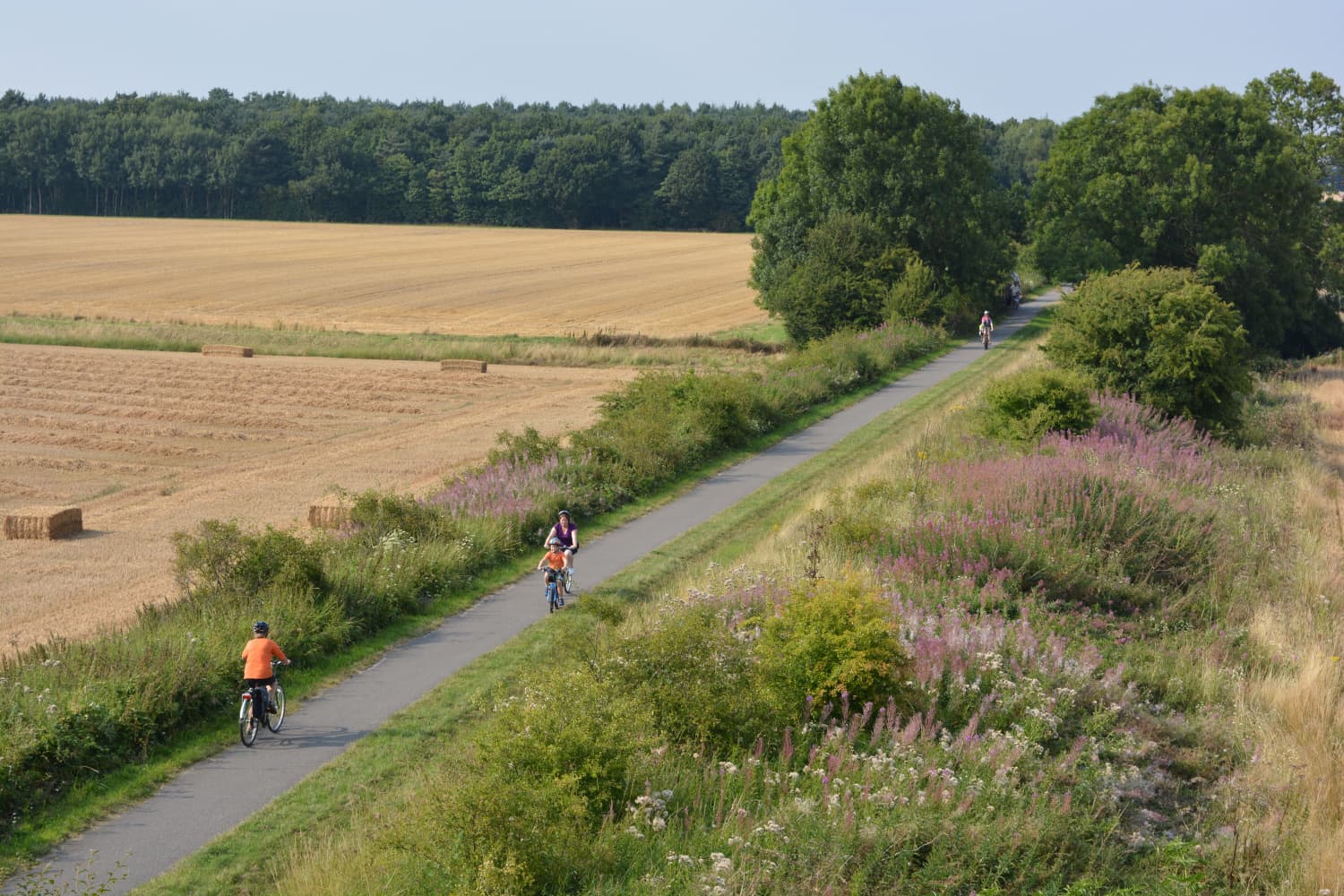 Escrick