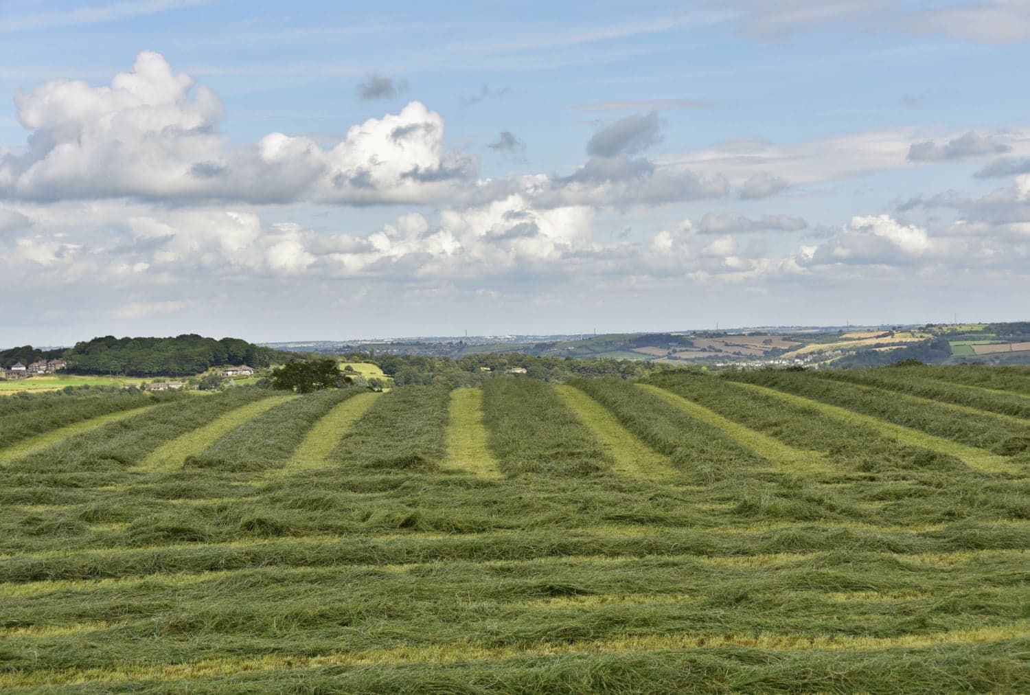 Farnley tyas