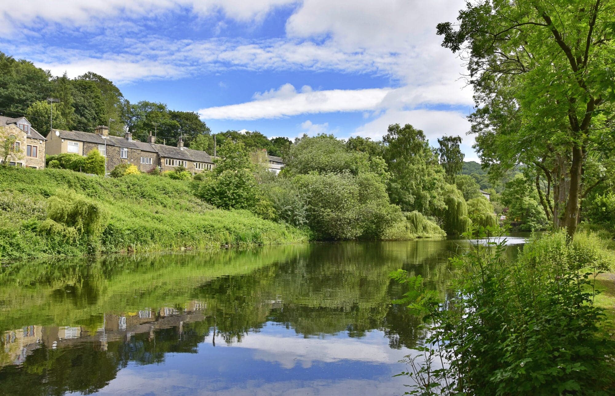 Honley