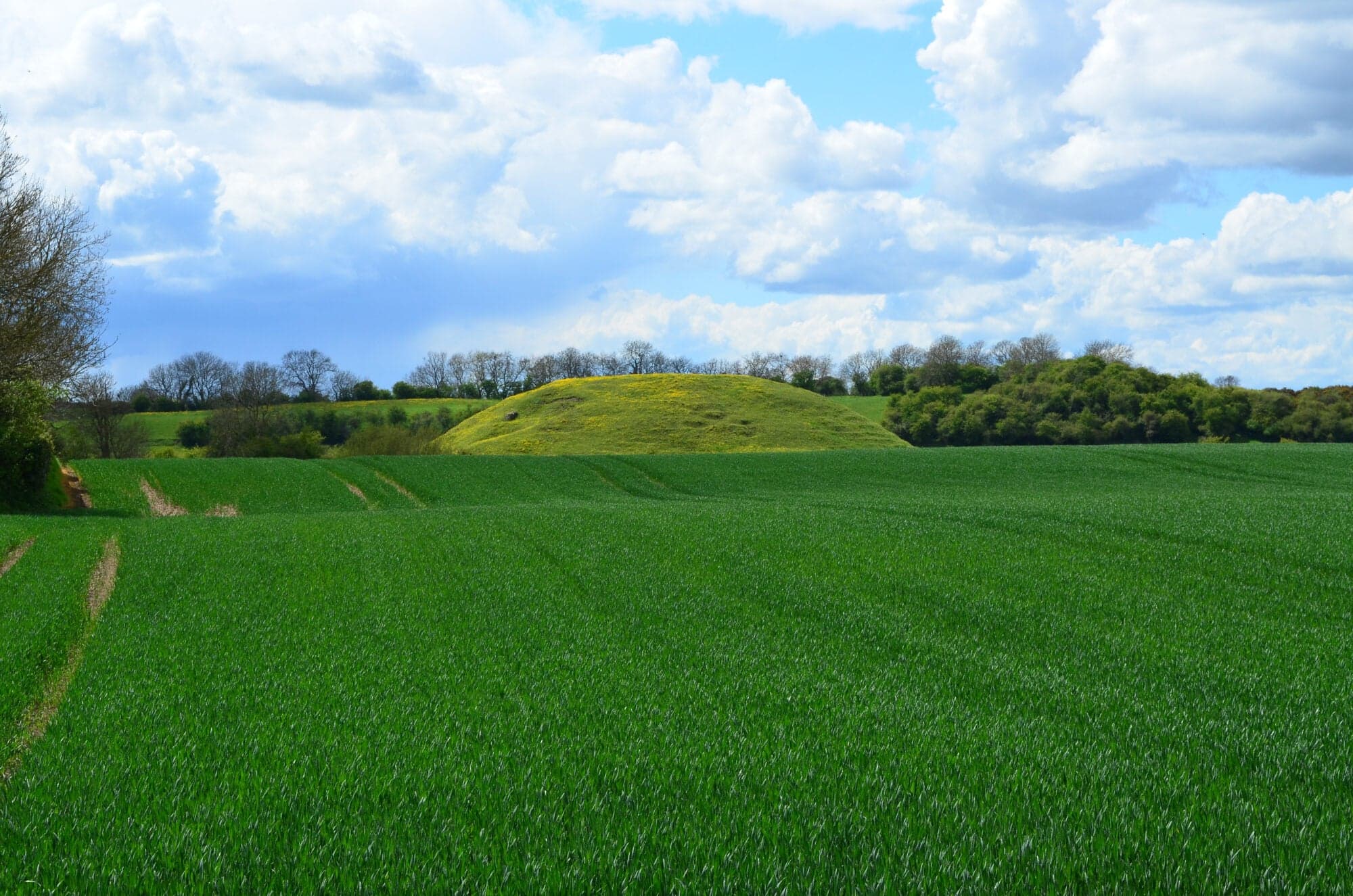 Skipsea Brough