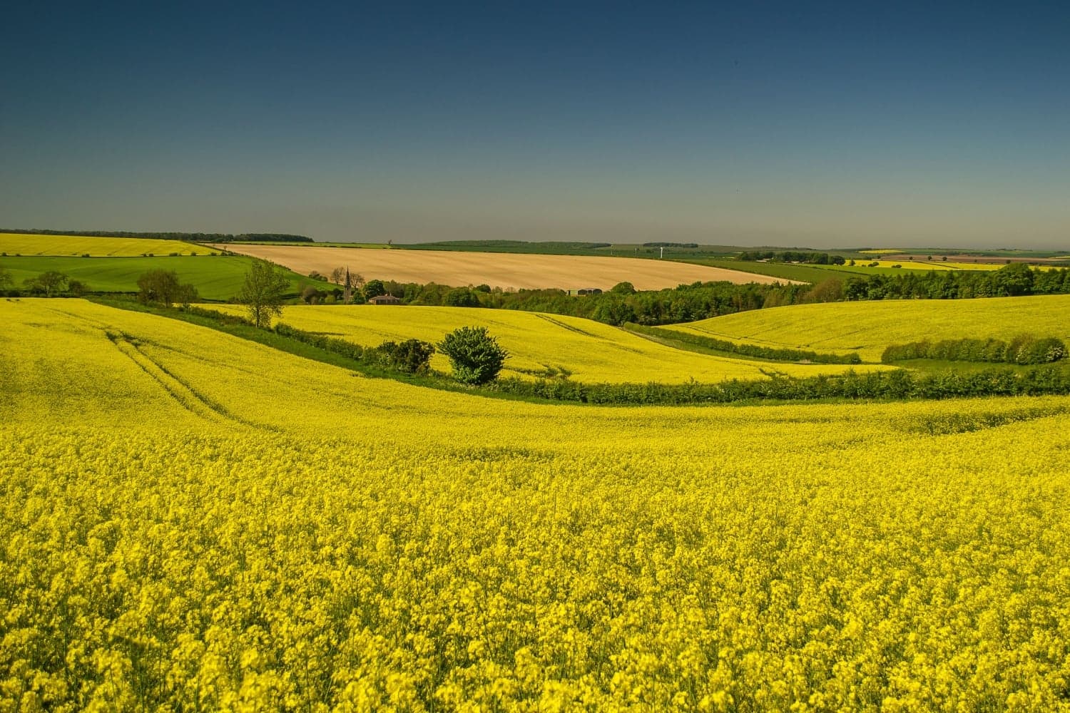 West lutton