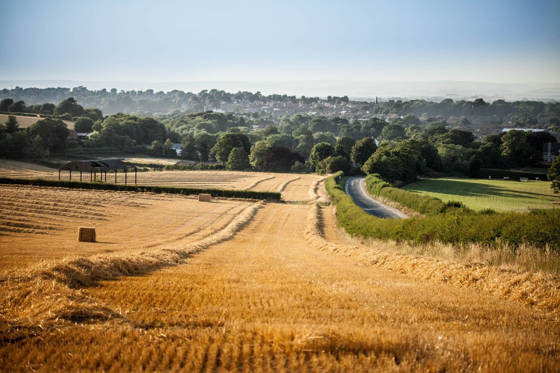 Walk: Norton and Menethorpe
