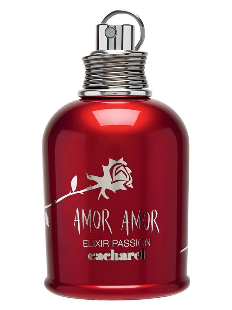 Amor Amor Elixir Passion for women