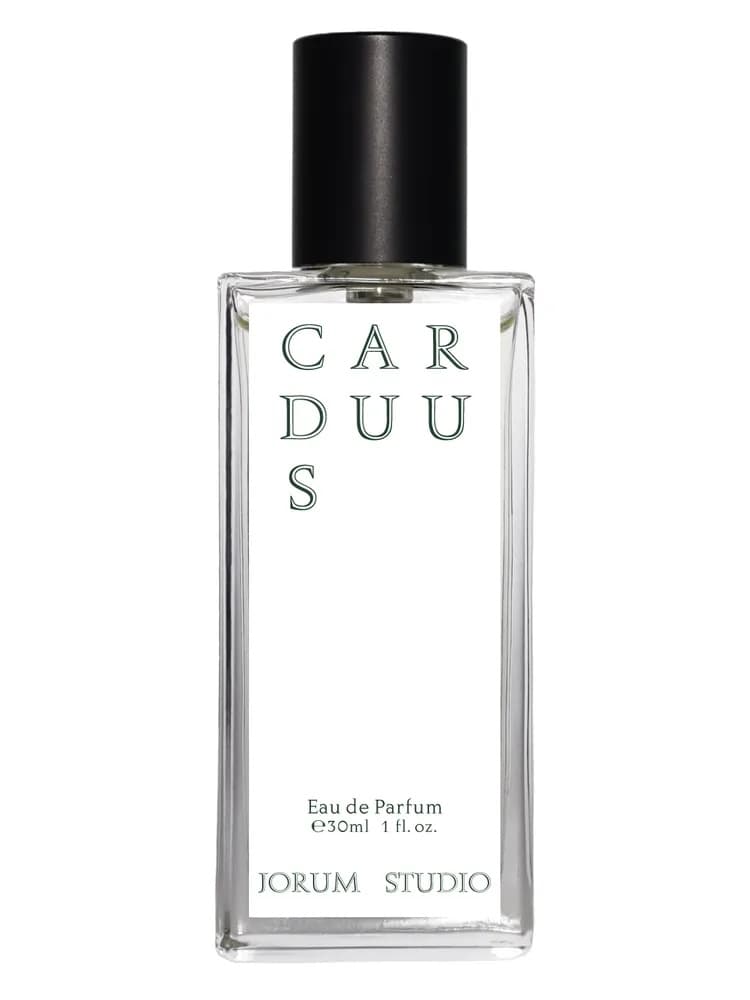 Carduus unisex