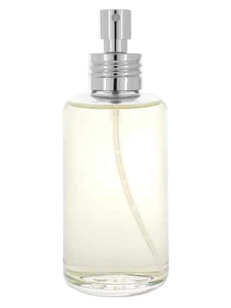 Disobbedienza unisex