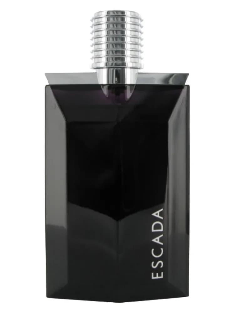 Escada Magnetism for Men for men