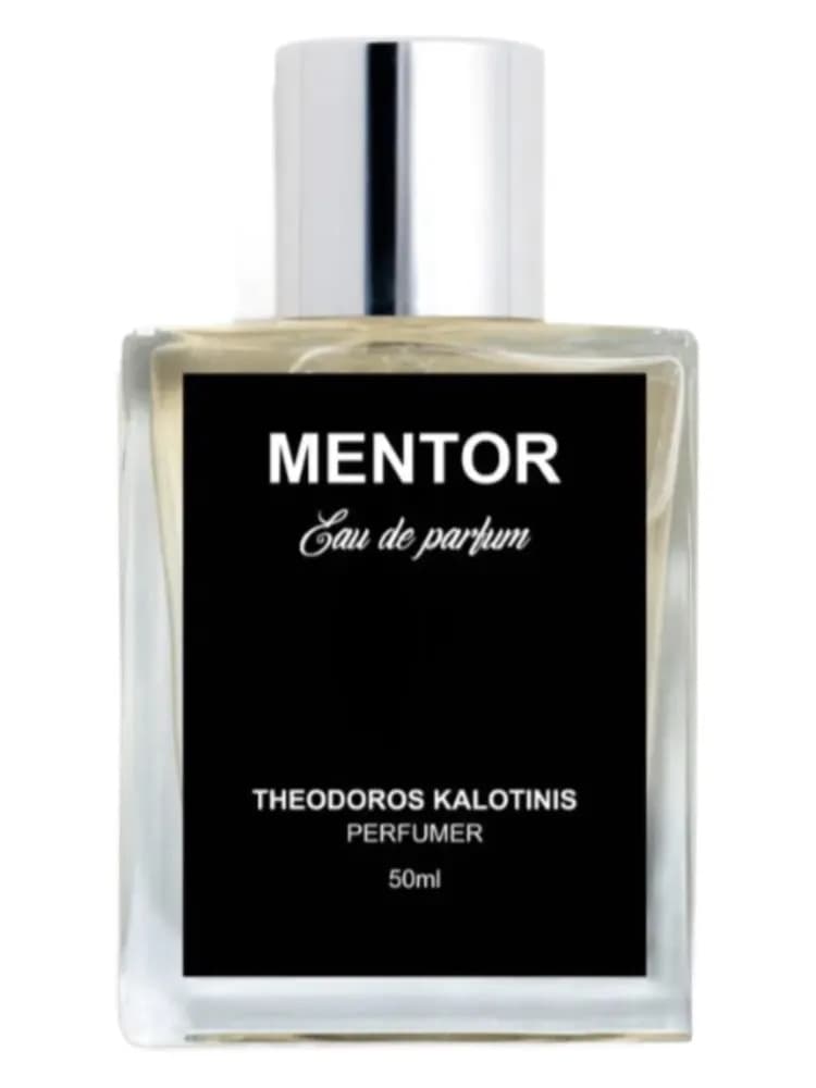 Mentor for men