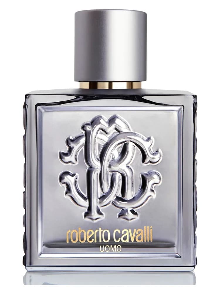 Roberto Cavalli Uomo Silver Essence for men