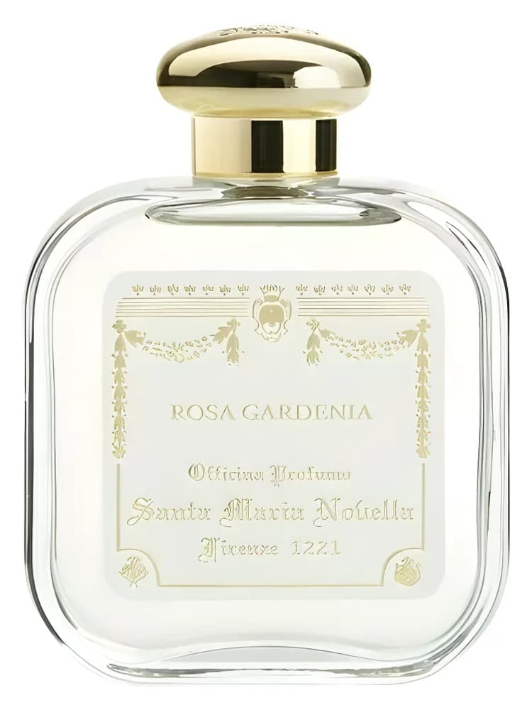 Rosa Gardenia unisex