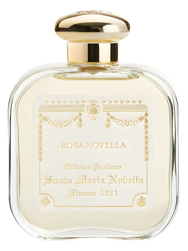 Rosa Novella unisex