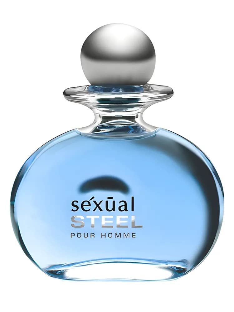 Sexual Steel Pour Homme for men