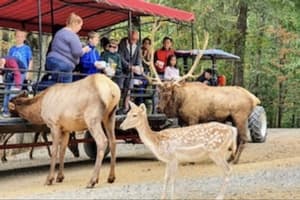 Relax Inn by OYO Natural Bridge I-81