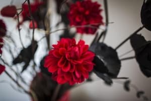 Accommodation at Scenic View in swansea airport