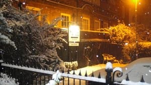 The Sycamore Guest House