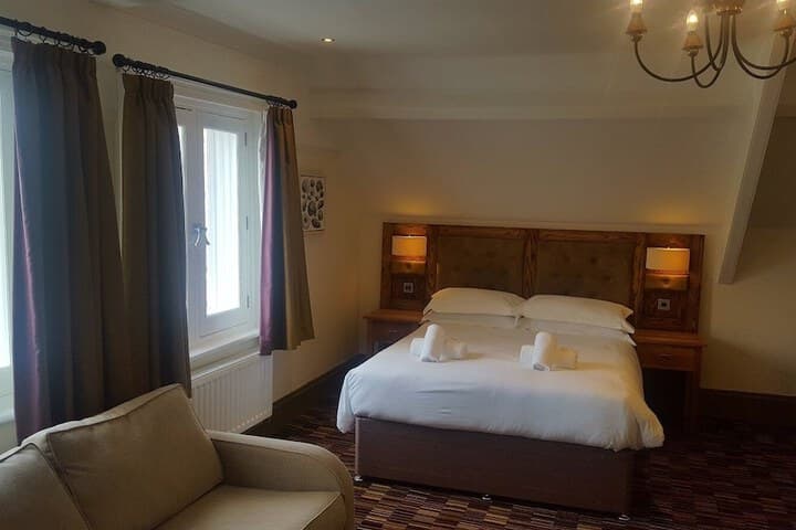 The Dolphin Image 11