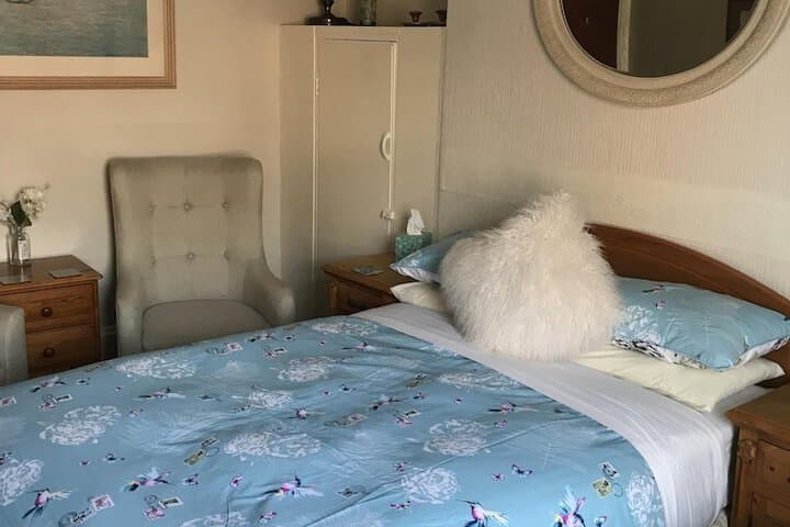 Albemarle Hotel Image 8