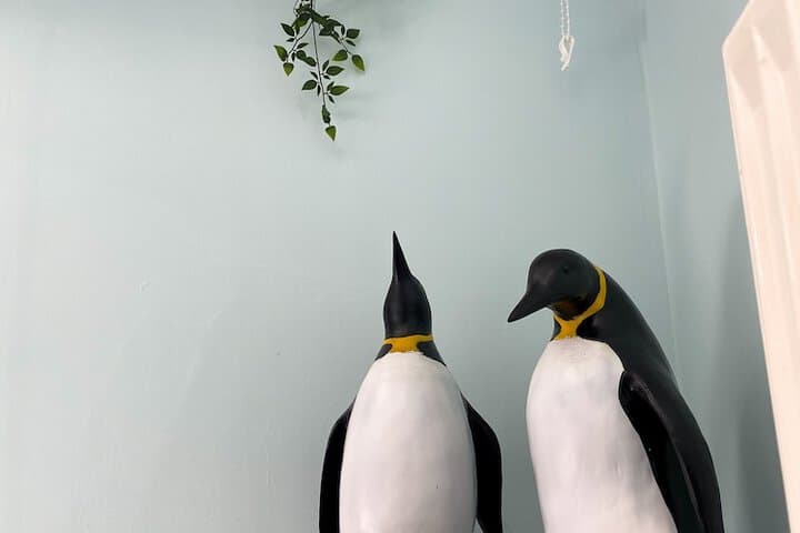 St Hildas Boutique Image 6