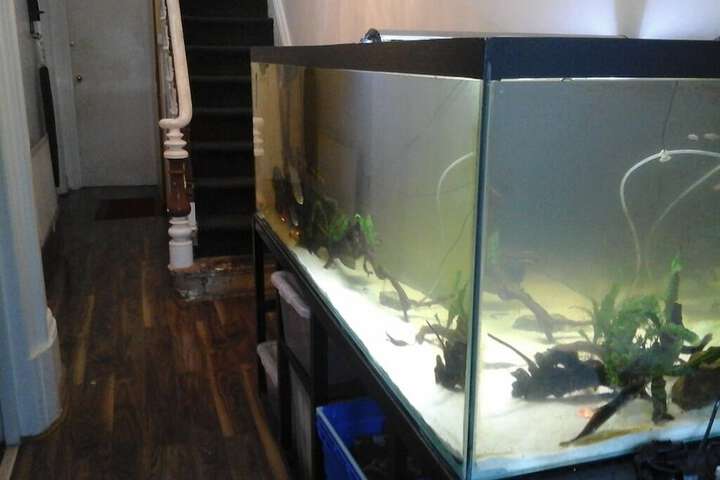 Heavenly Nights Guest House Image 2