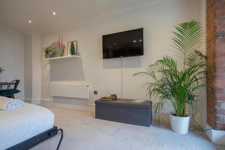 ChocoLets - The Yorkie Suite Image 7