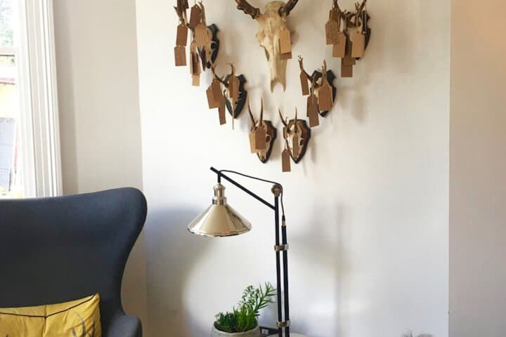 Jorvik House Image 7