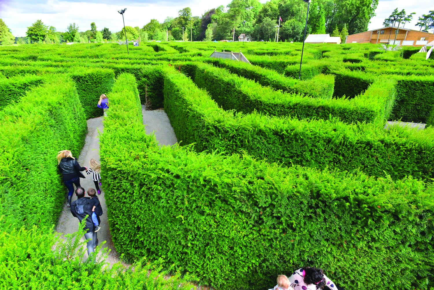 Prepare to be amazed