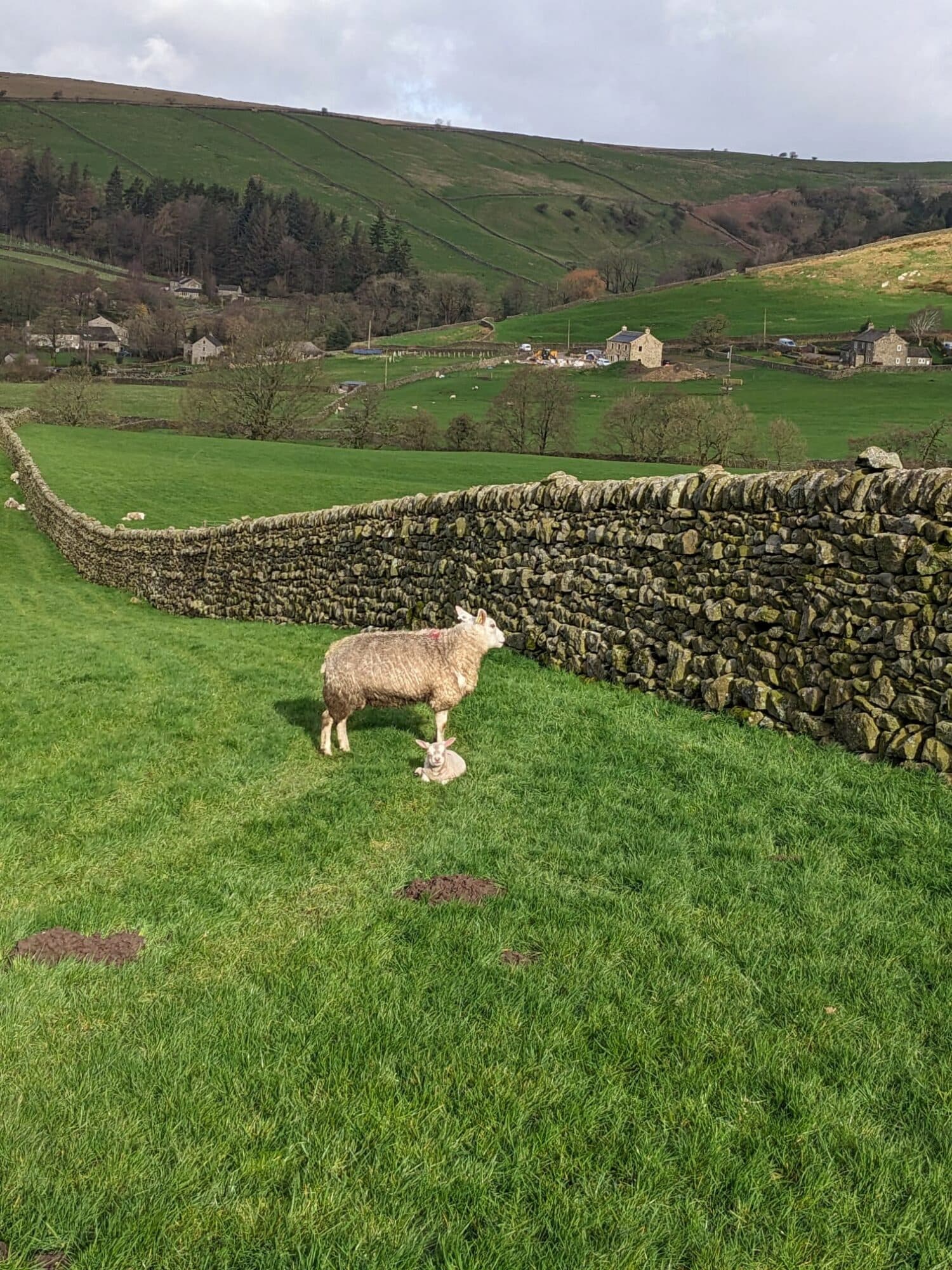 Triathlon prep with Emma Oakes: training with a friend and finishing with a jet wash!