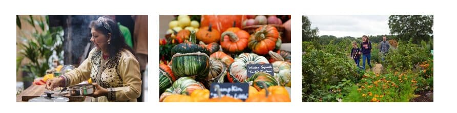 RHS Festival Flavours