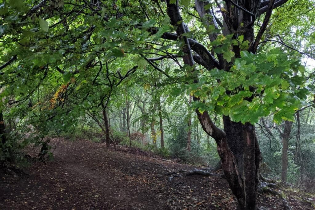 Accommodation at Cosy 2 bed house near Peak District in greenhill