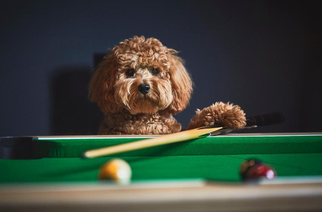 Accommodation at Haworth Home - Hot tub Cinema Games Room Sleeps 10 in haworth