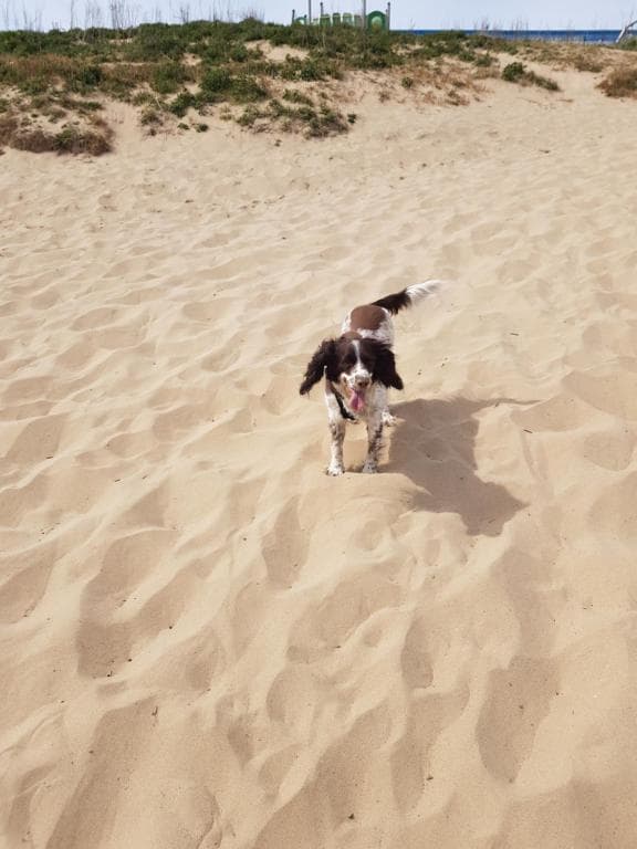 Accommodation at 247a South Shore in bridlington