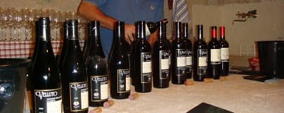 Buon Vino - Vineyard in bradford