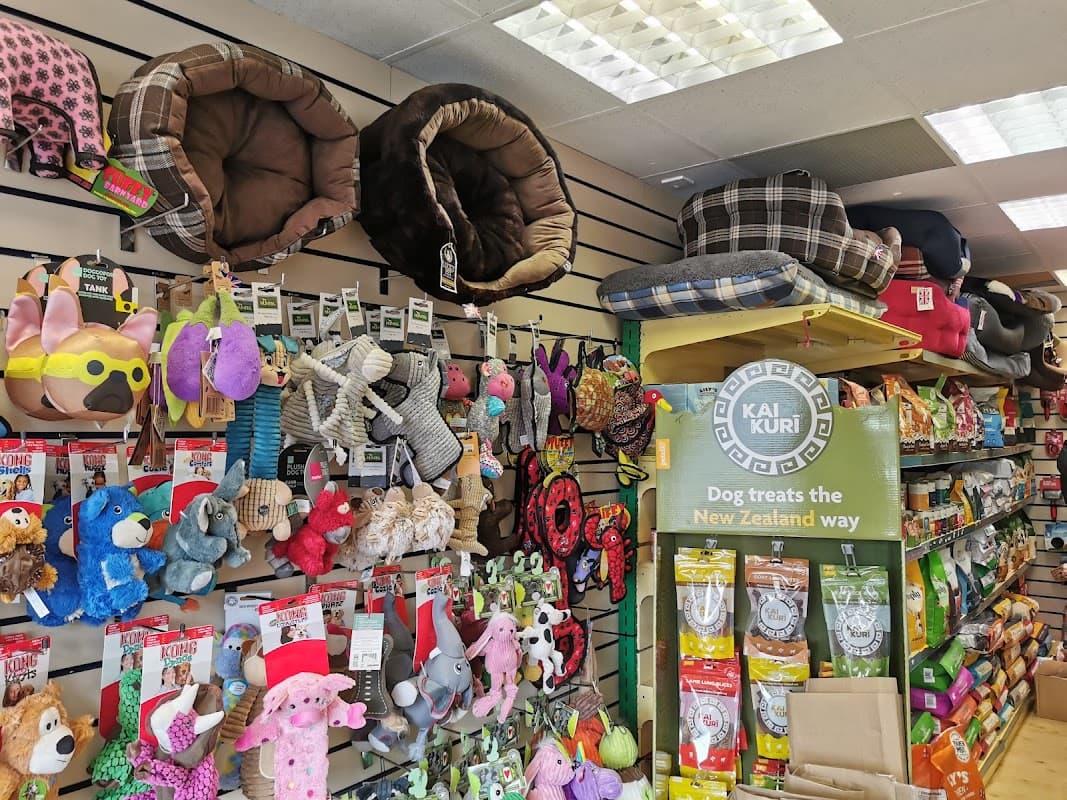 Colorful pet toys and treats displayed on shelves, with cozy dog beds hanging above in a pet shop setting.