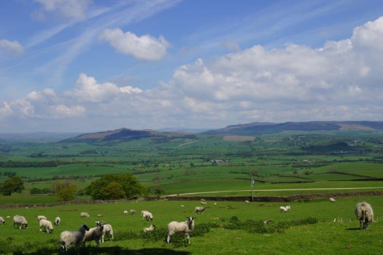 Accommodation at Eden in bradford